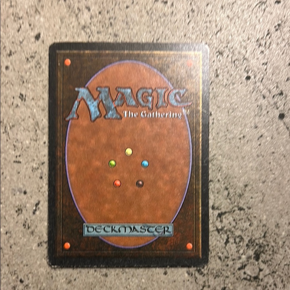 Revised Magic Card Northern Paladin - Picture 2 of 2